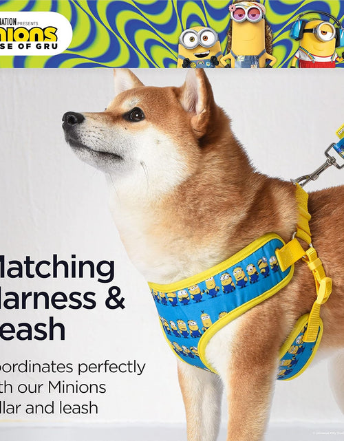 Load image into Gallery viewer, Dog Harness, Medium, Blue  in a Row | Comfortable Mesh No-Pull Dog Harness| Gifts for  Fans and Their Pets | Officially Licensed Pet Product from Universal Studios
