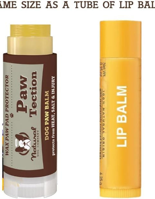 Load image into Gallery viewer, Pawtection Dog Paw Balm, Protects Paws from Hot Surfaces, Sand, Salt, &amp; Snow, Organic, All Natural Ingredients
