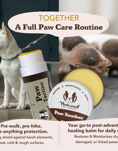 Load image into Gallery viewer, Pawtection Dog Paw Balm, Protects Paws from Hot Surfaces, Sand, Salt, &amp; Snow, Organic, All Natural Ingredients
