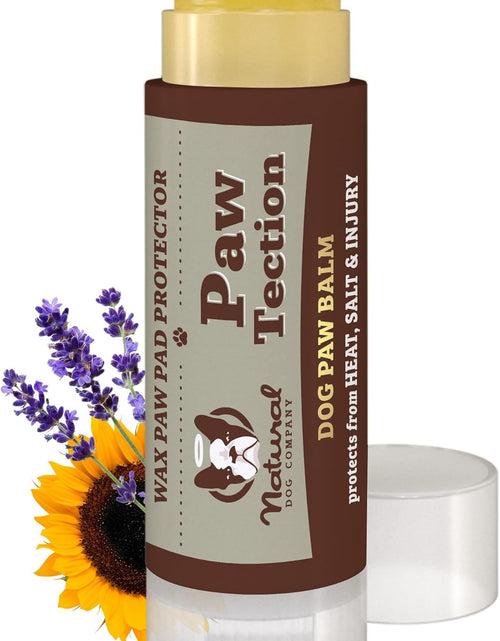 Load image into Gallery viewer, Pawtection Dog Paw Balm, Protects Paws from Hot Surfaces, Sand, Salt, &amp; Snow, Organic, All Natural Ingredients
