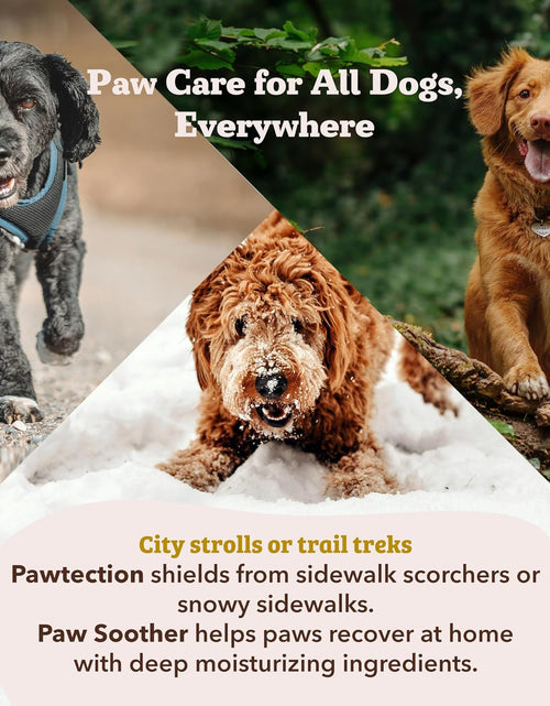 Load image into Gallery viewer, Pawtection Dog Paw Balm, Protects Paws from Hot Surfaces, Sand, Salt, &amp; Snow, Organic, All Natural Ingredients
