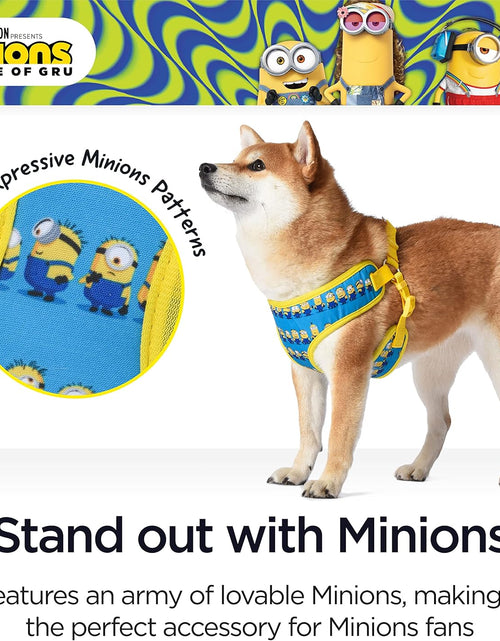 Load image into Gallery viewer, Dog Harness, Medium, Blue  in a Row | Comfortable Mesh No-Pull Dog Harness| Gifts for  Fans and Their Pets | Officially Licensed Pet Product from Universal Studios

