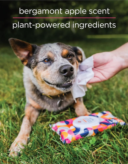 Load image into Gallery viewer, PL360 Dog Grooming Wipes for Cleansing &amp; Deodorizing | Pet Wipes for Dogs, Cats, Puppies &amp; Kittens | Mandarin Scent | Eco Friendly, Natural and Safe Ingredients

