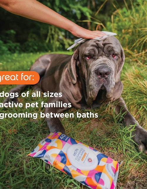 Load image into Gallery viewer, PL360 Dog Grooming Wipes for Cleansing &amp; Deodorizing | Pet Wipes for Dogs, Cats, Puppies &amp; Kittens | Mandarin Scent | Eco Friendly, Natural and Safe Ingredients
