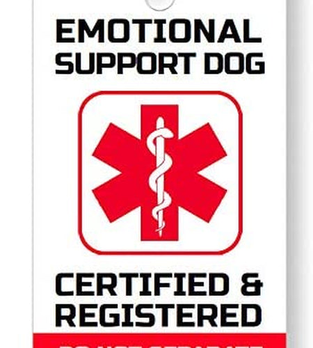 Service, Diabetic, Seizure, ESA, PTSD, or Therapy Dog Key Tag/Collar Tag for ADA And/Or Fhact Service and Support Animals